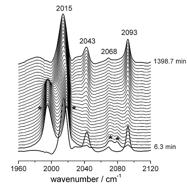 Typical changes in FTIR spectra